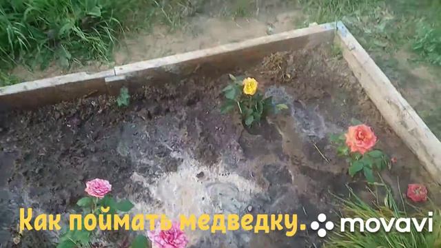 Как поймать медведку. Часть третья "За́топ". смотреть онлайн