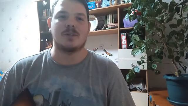 Отзыв про нашу школу игры на балалайке смотреть онлайн