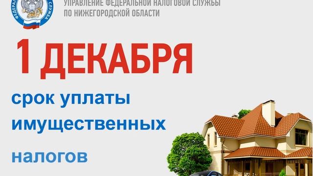 1 декабря срок уплаты имущественных налогов физических лиц смотреть онлайн