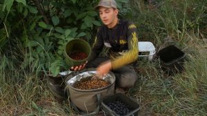 Лучшая прикормка на любом водоеме для карпа и амура