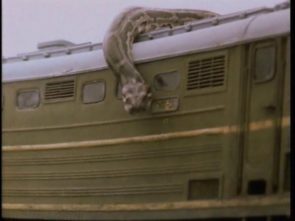 Художественный фильм  "Монстры" 1993 г. /Feature film " Monsters".