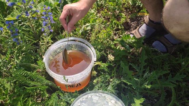 Первый мёд 2021 Ивановка смотреть онлайн