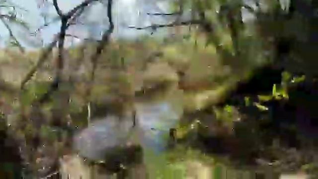 VLOG/Мир/Труд/Май/Elena Karaush смотреть онлайн