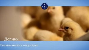 Долинк: эффективная антибактериальная терапия через воду у свиней и птицы