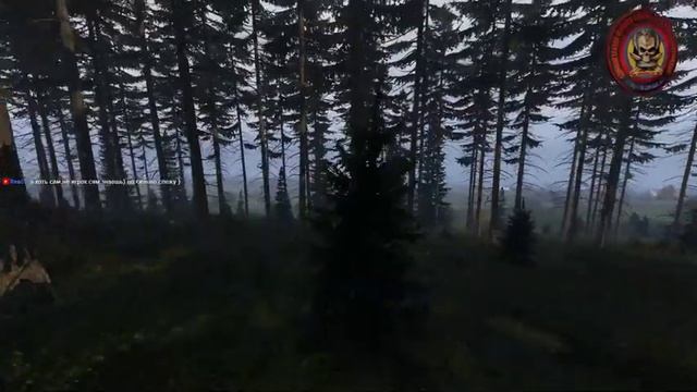 Dayz 1.02 - «Ночной дозор» [307] смотреть онлайн