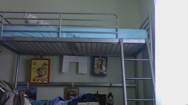 Видео с веб-камеры. Дата: 2 февраля 2014 г., 13:09. смотреть онлайн