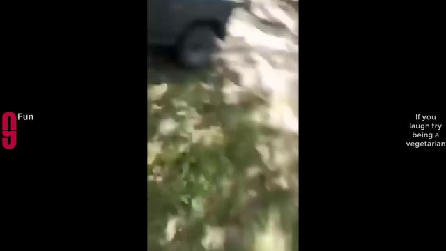 Попробуй не засмеяться №38 - Лучшие Приколы 2024. #шоу #shorts #ютубшортс #смех #приколы #мемы #мем смотреть онлайн