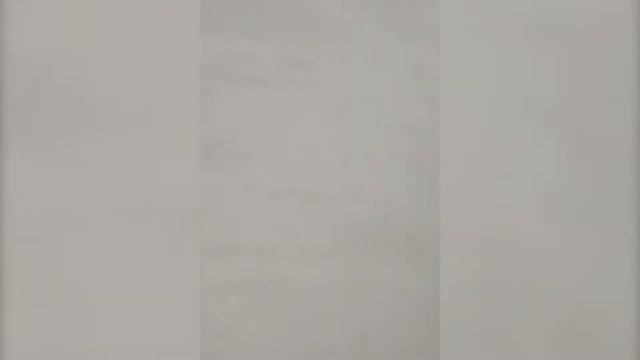 Нанесение Броня Фасад и Броня Лайт для теплоизоляции стен в квартире Представителя Броня в Москве.