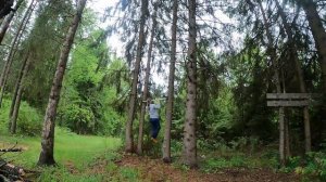 Фоновое видео для беговой дорожки