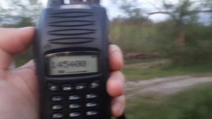 Baofeng UV-82 VS Rexon RL-318K в лесу