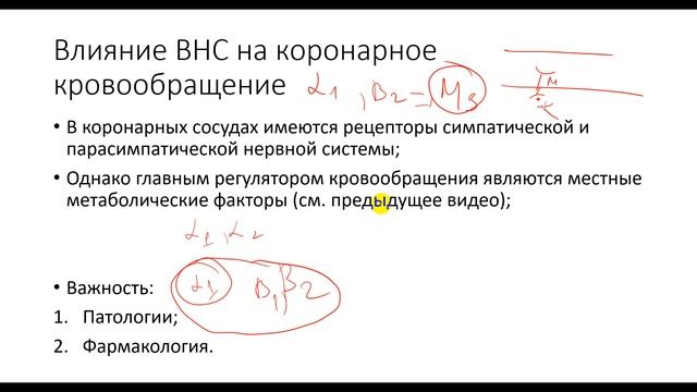 Дополнение к предыдущему видео. ВНС и коронарное кровообращение смотреть онлайн