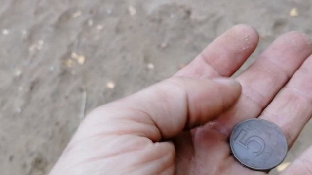 Походил пару часов по пляжу. смотреть онлайн