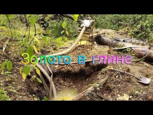 Золото в глине. Gold in Clay