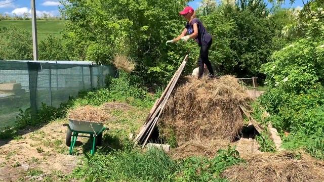 #209 Вылупился первый цесарёнок. Цыплята переехали на новое место жительства / Переезд в деревню смотреть онлайн