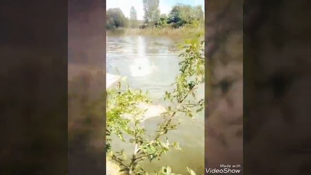 Купание на озере. "Балласт 2017" смотреть онлайн
