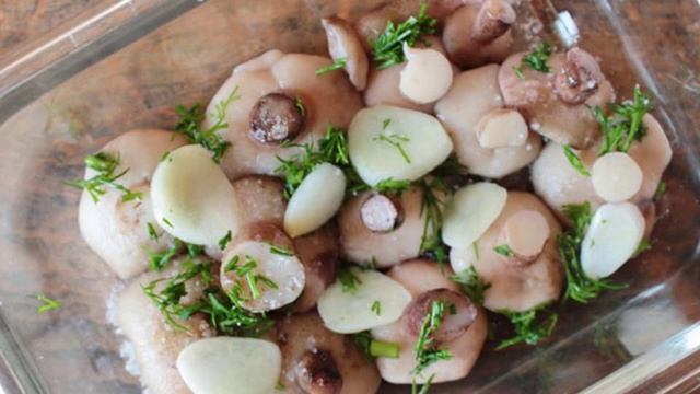 Засолка рыбы и икры в домашних условиях