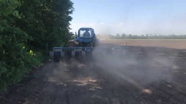 Поздний посев подсолнечника, опрыскивание грунтовым гербицидом смотреть онлайн