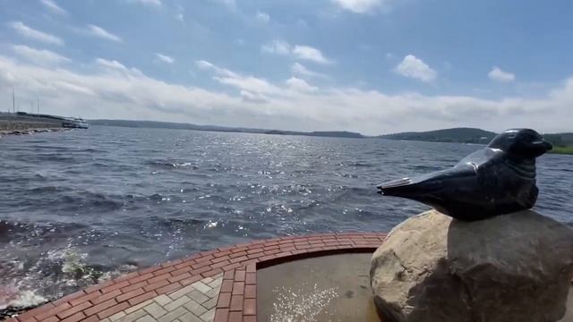 Ладожская нерпа. Сортавала. смотреть онлайн