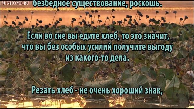 К чему снится Хлеб сонник, толкование сна смотреть онлайн