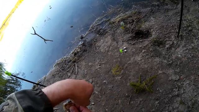 РЫБАЛКА 2016 СОМ КАСАТКА КАРАСЬ смотреть онлайн