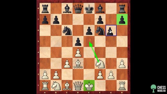 Защита Каро-Канн за белых для начинающих