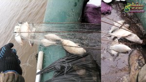 Рыбалка на хапугу хлопок весной 2024 с лодки. рыбы много как в бочке с рыбой