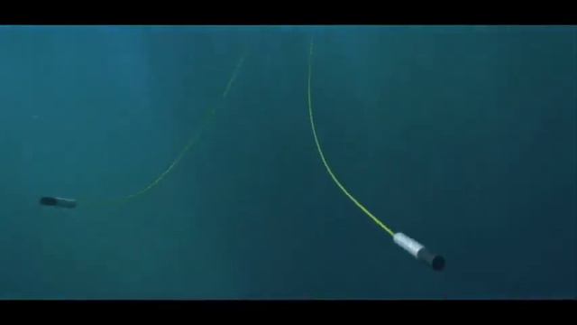 Киты и люди заговорили на одном языке смотреть онлайн