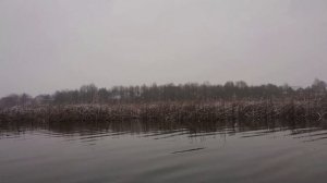 Ловля щуки на кружки и колобашки. Fishing