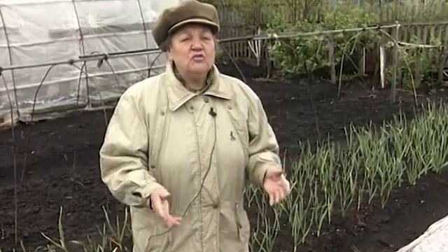 Ранние овощи смотреть онлайн