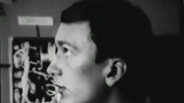 Колледж в 1978 году смотреть онлайн