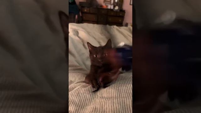 Кадры жёсткой долбёжки перед сном