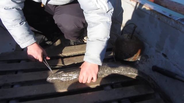 Бахчисарайское водохранилище,щука за 4 ку смотреть онлайн