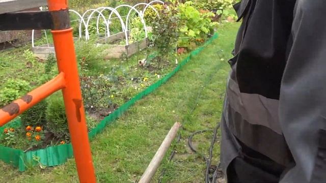 Осваиваем заброшенный участок. Наши находки - привет из прошлого. смотреть онлайн