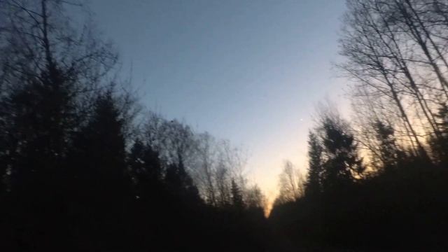 Только выстрелы. Только промахи. Охота на вальдшнепа смотреть онлайн