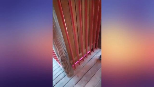 Поход в зимний Зоопарк в Ганновере часть 1 - 30.12.2019 смотреть онлайн