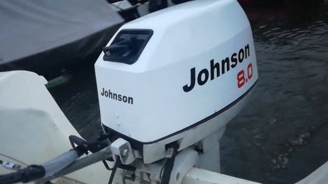 Johnson 8