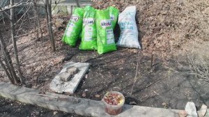 Лучший корм для червей. Чем кормить червей в домашних условиях. Заготовка корма для червей.