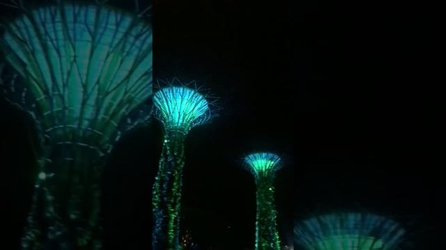 Самые необычные деревья в мире ? смотреть онлайн