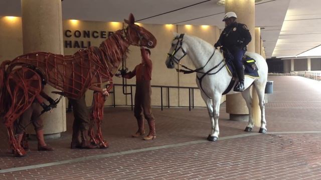 War Horse-Joey interacts with a real horse смотреть онлайн