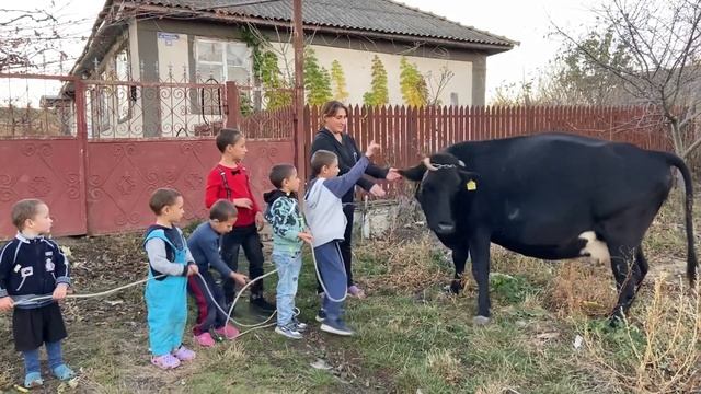 Купили корову для семьи мамы Дуси и шесть детей! Сердечно благодарю Друзья!? смотреть онлайн