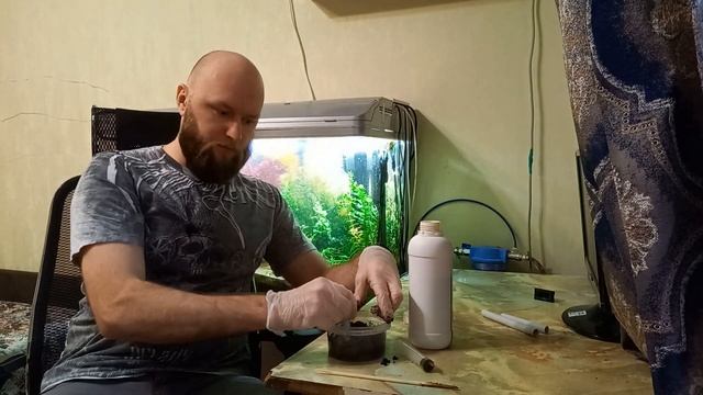 Корневая подкормка аквариумных растений смотреть онлайн