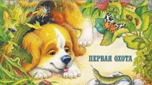 Виталий Бианки ПЕРВАЯ ОХОТА