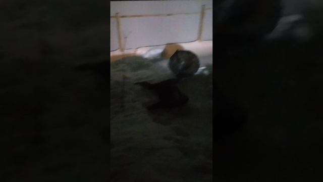 ДТП в реальной жизни #4 смотреть онлайн