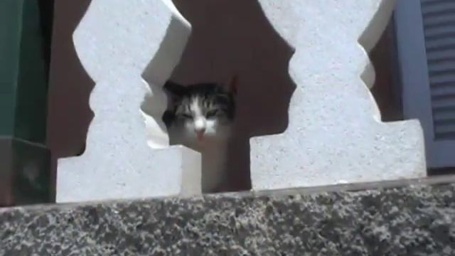 San Miguel de Tajao - Tenerife смотреть онлайн