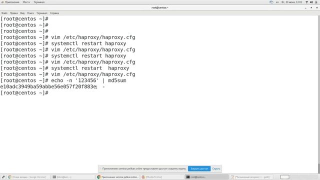 Семинар HAProxy балансировка нагрузки и маршрутизация. смотреть онлайн