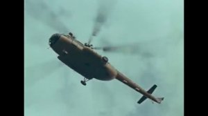 Ералаш Берегите лес от пожара 1988.mp4