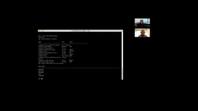 Configuring the IM Column Store Demo смотреть онлайн