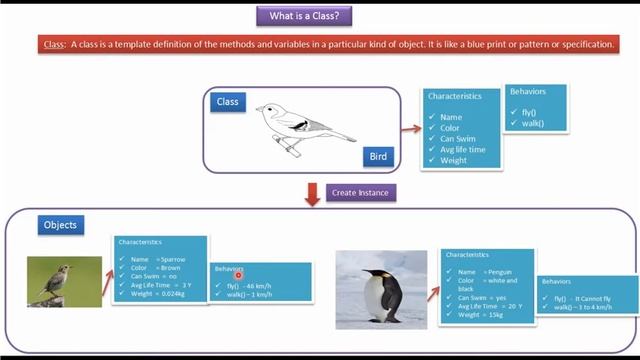 What is a Class [Bird]? | Java Class | Java Tutorial смотреть онлайн