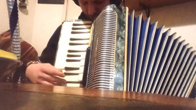 Gigi D'agostino - Ill fly with you - Accordeon cover . смотреть онлайн