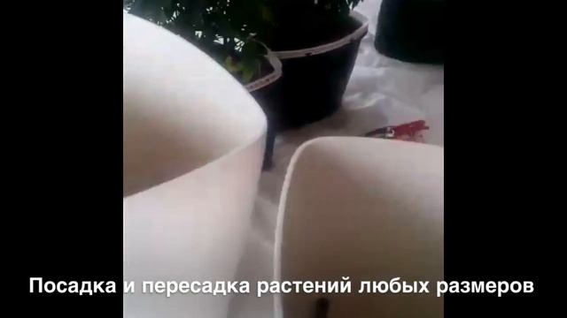 Умные горшки: комнатные, уличные растения смотреть онлайн